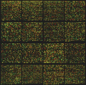 Microarray_sm