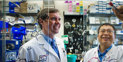 Research Collaboration
